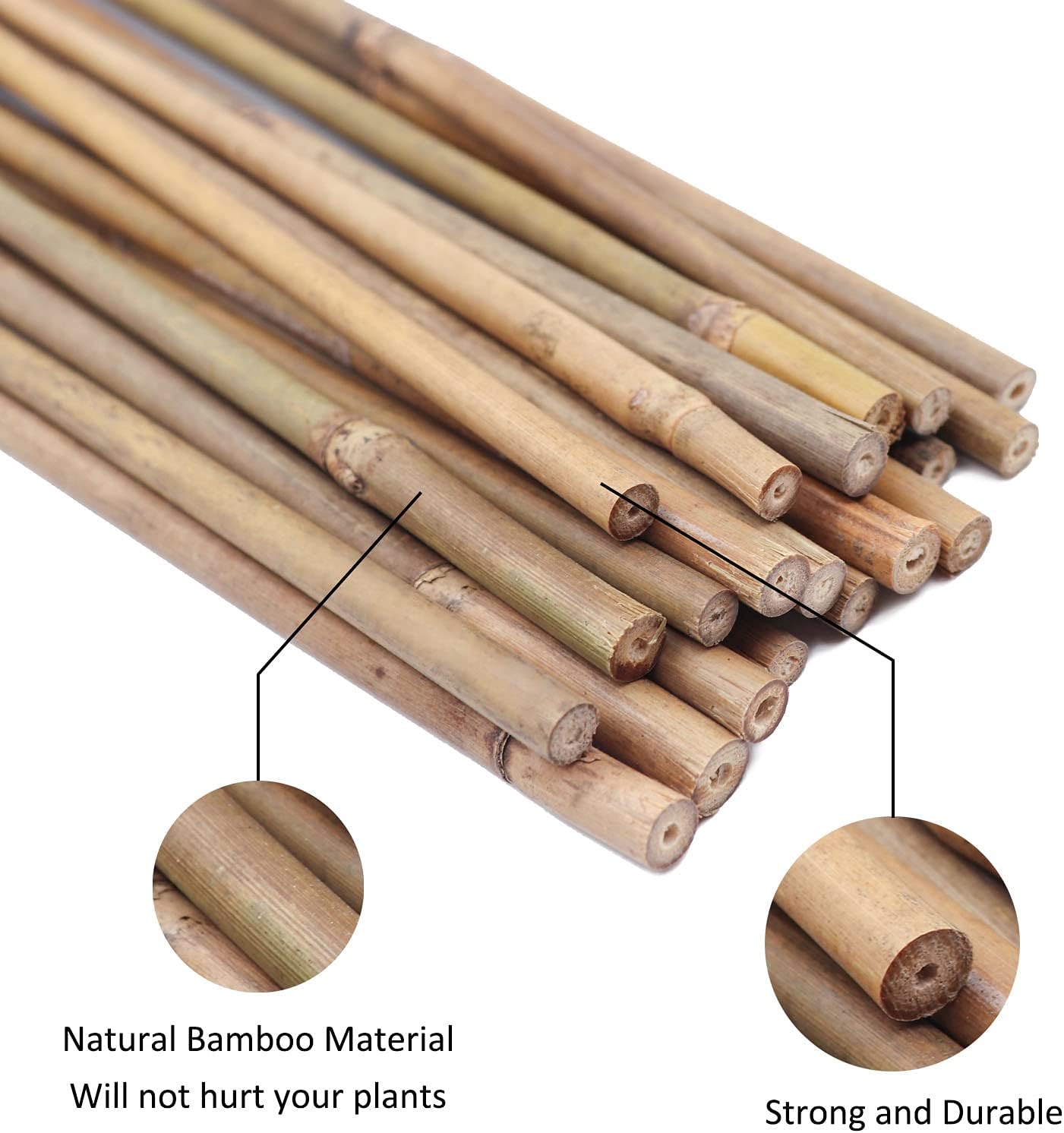 20 Pieces Natural Garden Bamboo Sticks Plant Stakes for Indoor and Outdoor Plant Support