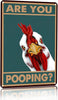 Vintage Chicken Are You Pooping Funny Tin Sign for Bathroom Toilet Wall Decor 8 X 12 Inch (3041)