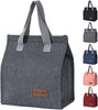 Insulated Warm and Cool Plain Lunch Bag for Men and Women