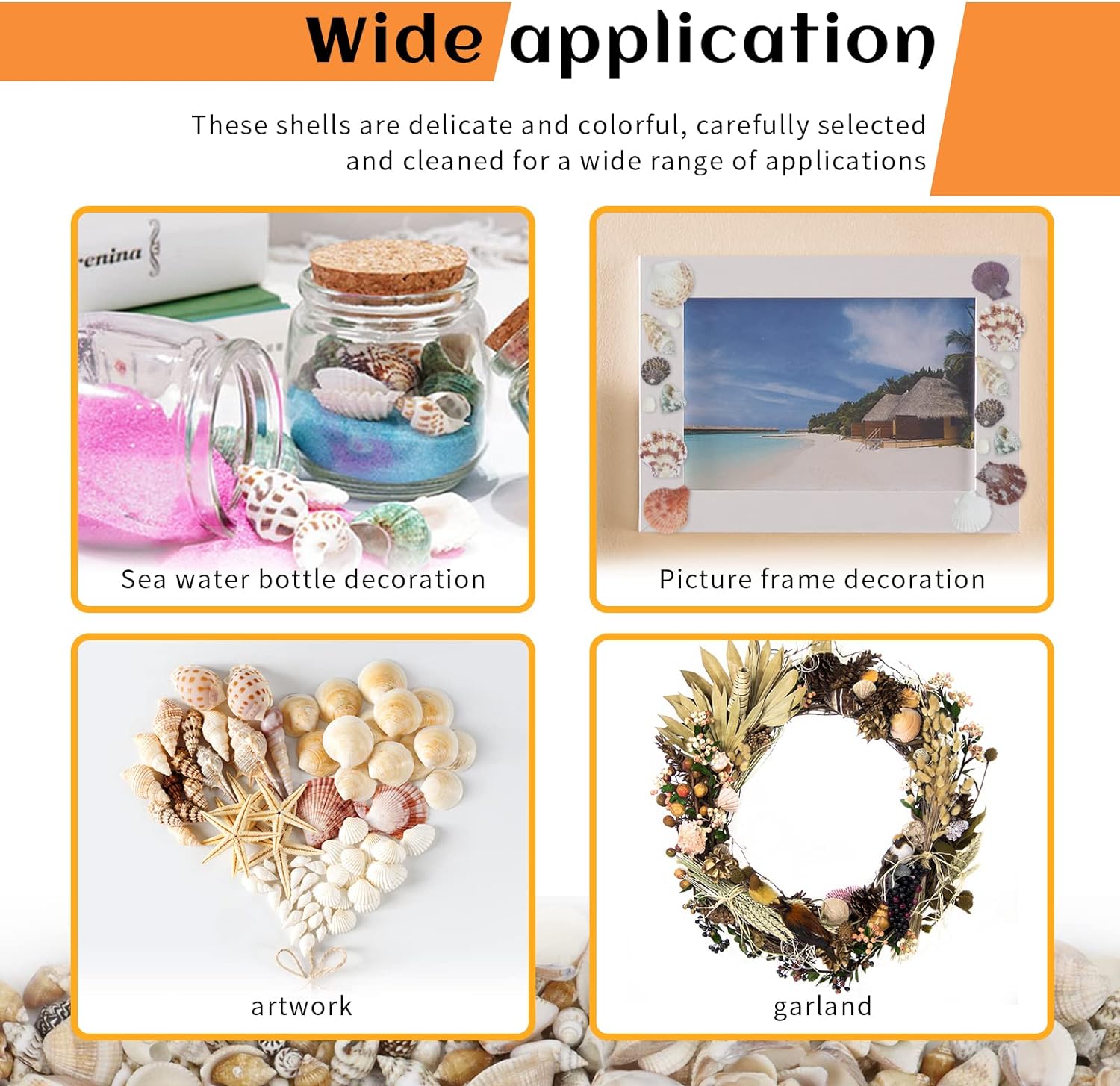 Mixed Sea Ocean Beach Shells for DIY Craft Projects